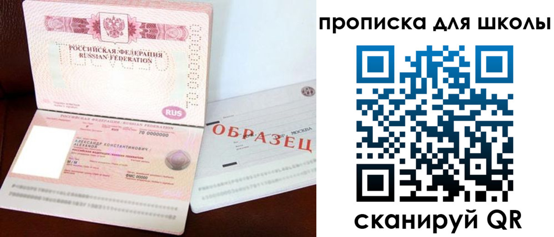 прописка для школы в Светлогорске