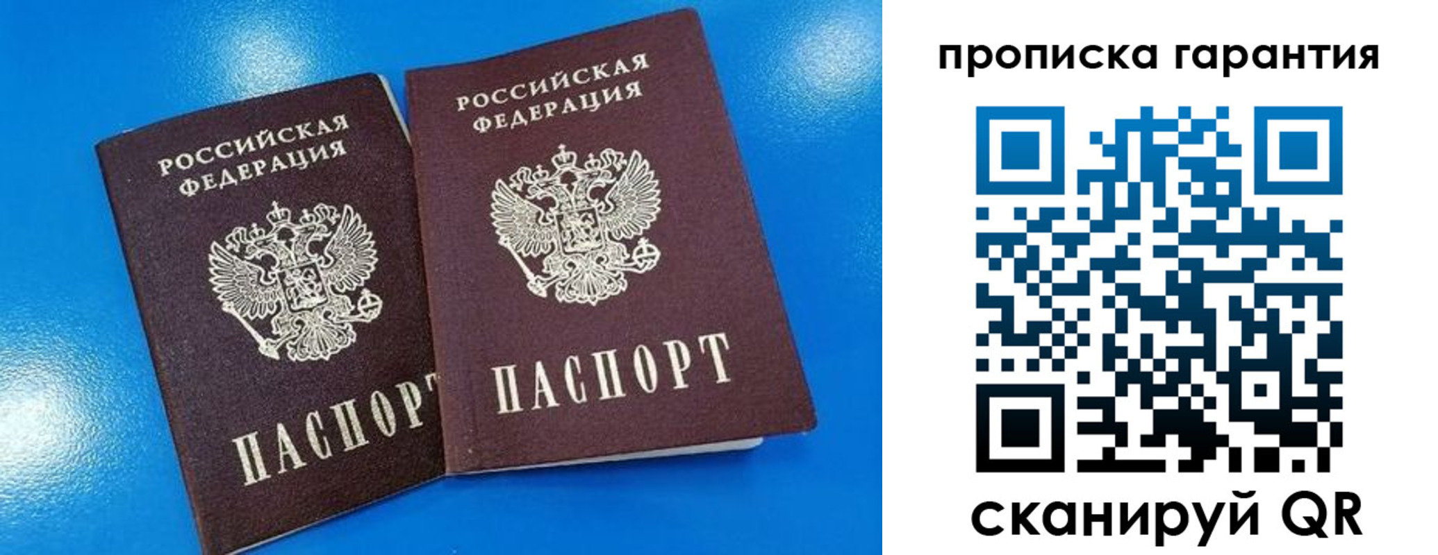 временная прописка в Светлогорске